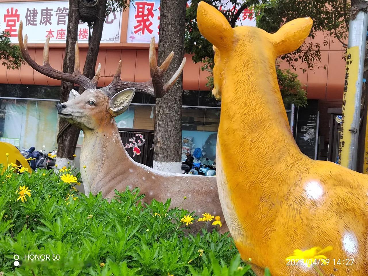 头条，也只有头条，视频，也只有这般视频资源，提供给昨日的天人了（机器人）…