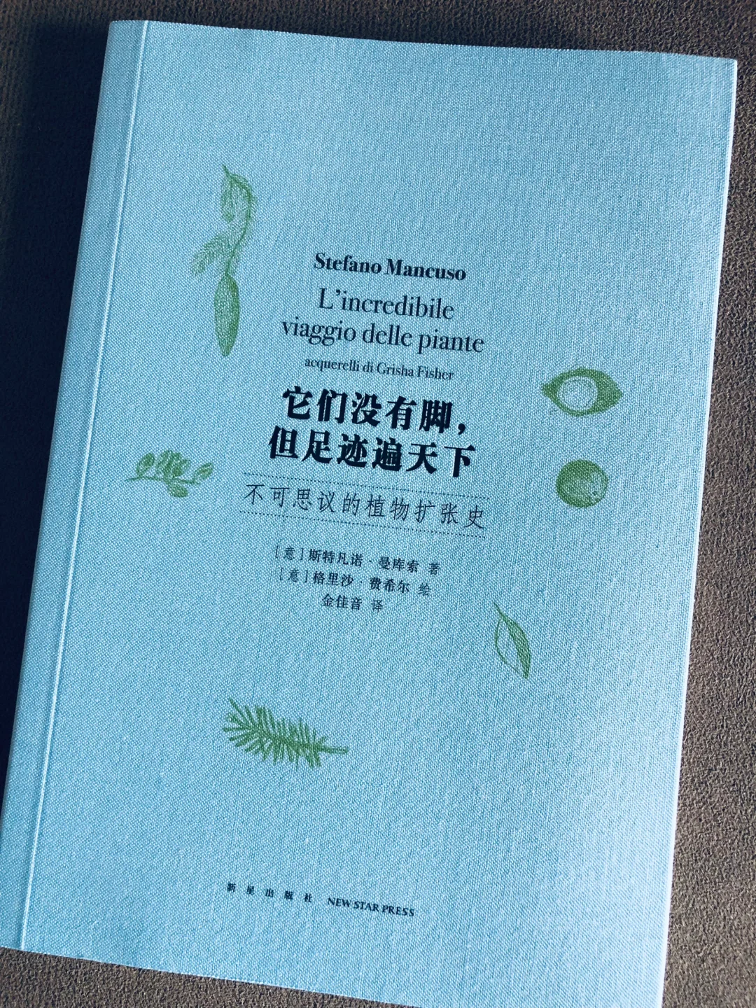 不可思议的植物扩张史｜冷知识