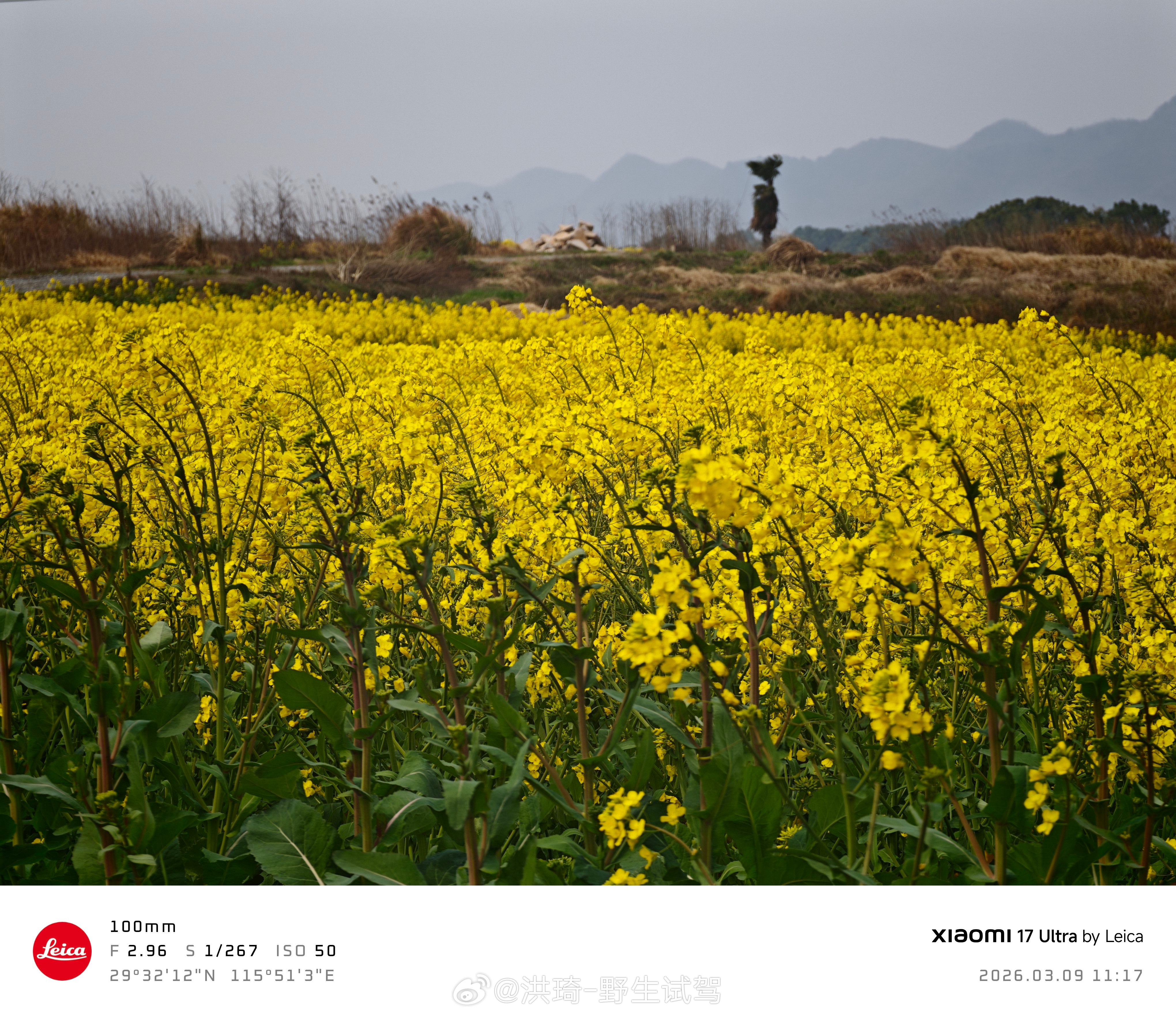 开往春天的高铁🚅 理想MEGA