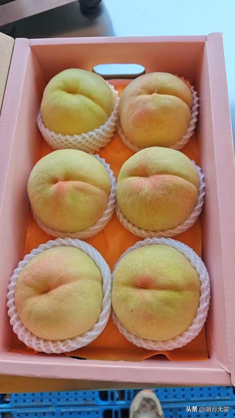 新鲜多汁的桃子，甜蜜一夏！🍑🌞