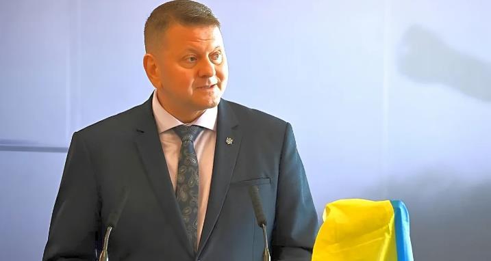 乌克兰前武装部队总司令扎卢日内抨击乌克兰政治体制
   被解职后派往伦敦担任大使
