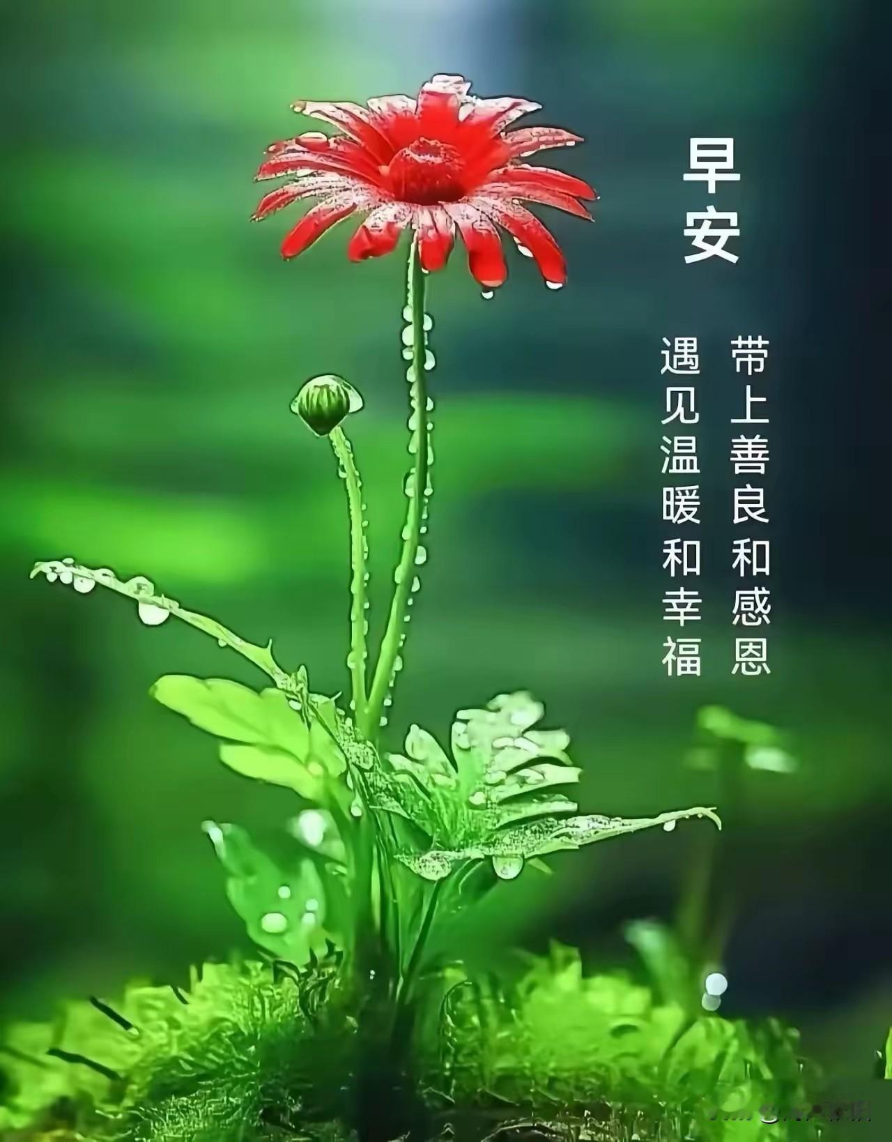 《七言诗·缘聚情深》
 
相遇相逢结善缘，
惜情续谊暖流年。
晨携问候凝清曲，