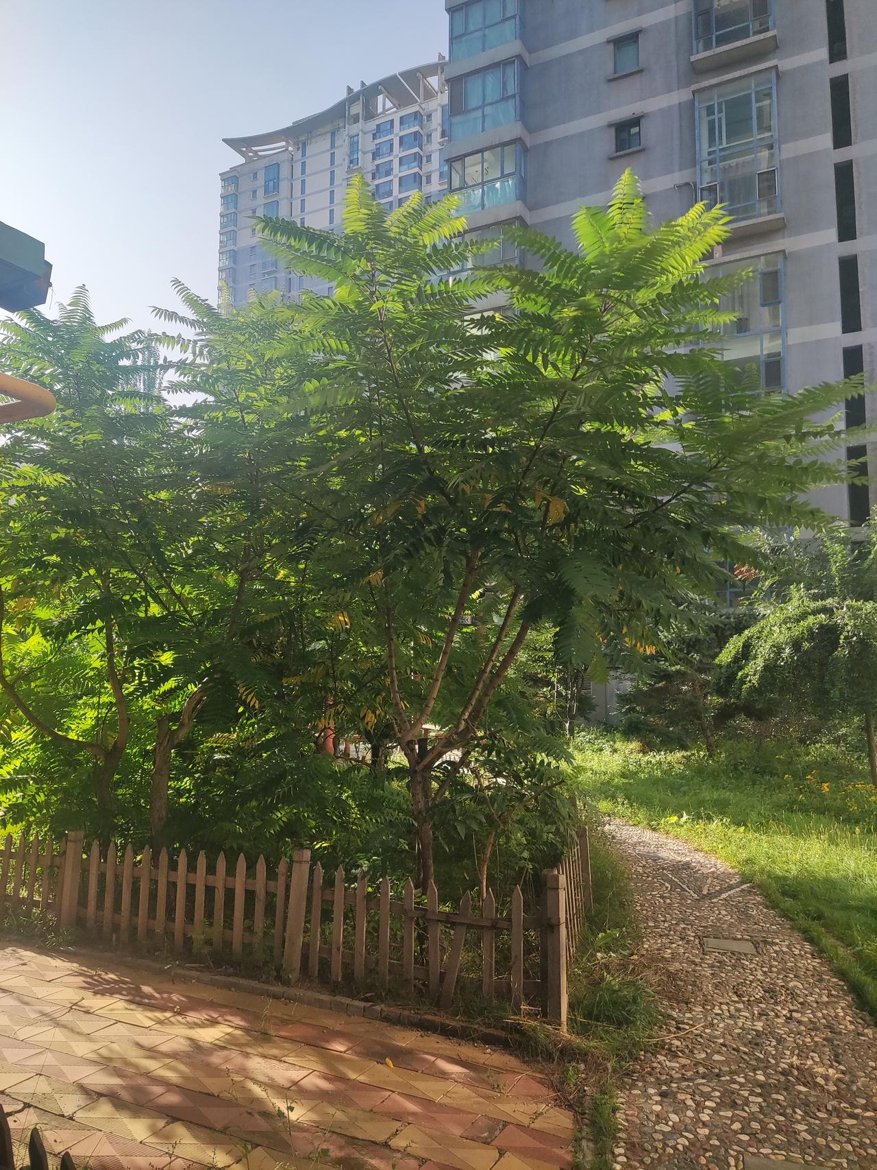 新的一天搬砖开始。