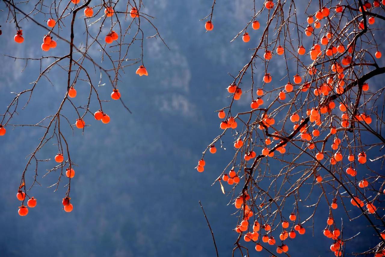 让所有的美好都如愿而至