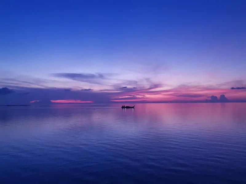 委内瑞拉会是下个伊拉克？

美国这操作真让人摸不着头脑。当地时间12月4日，美军