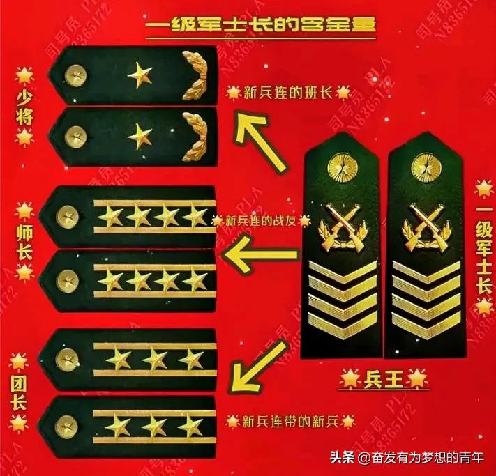 部队里的一级军士长真可谓是稀世珍品，个个身怀绝技。论起他们的价值和地位，那是相当