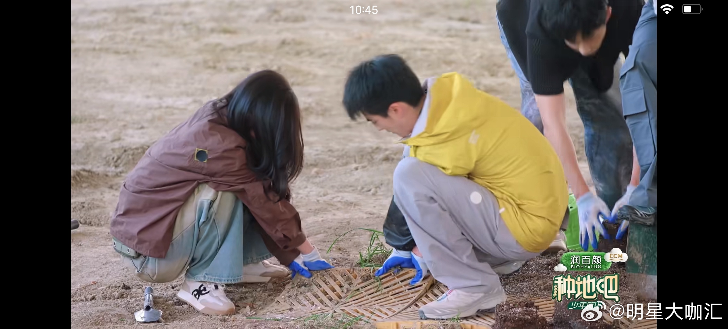电视剧灿如繁星种地吧有虞书欣今天不踢球，小林老师带小野人们去种地啦一起帮忙大棚旧