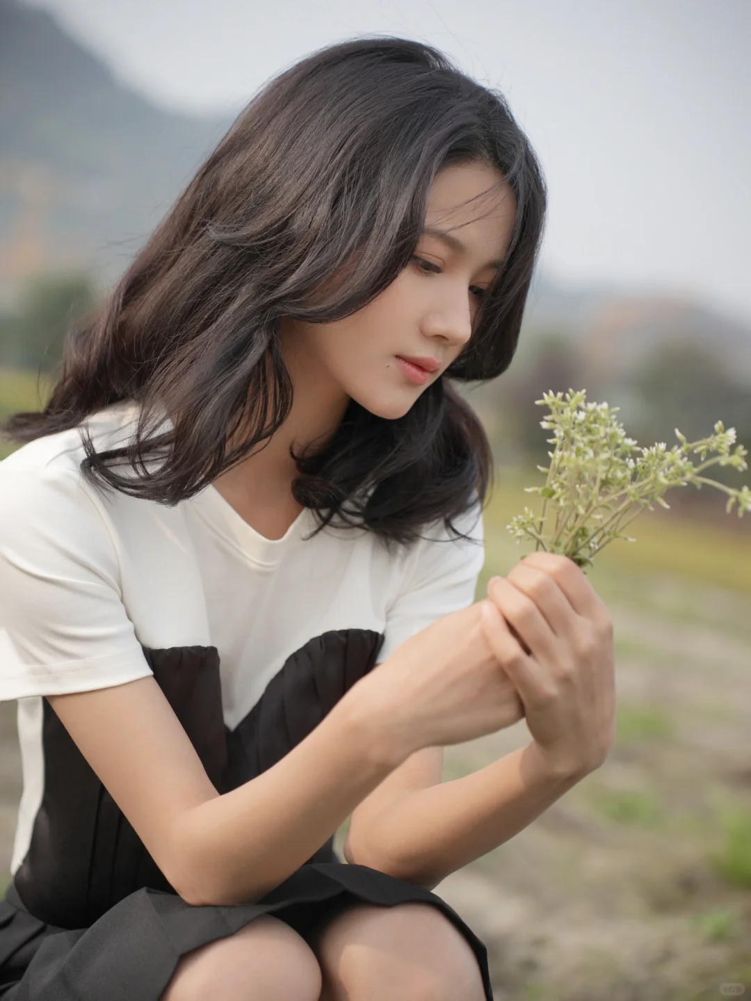 小镇的田园风光