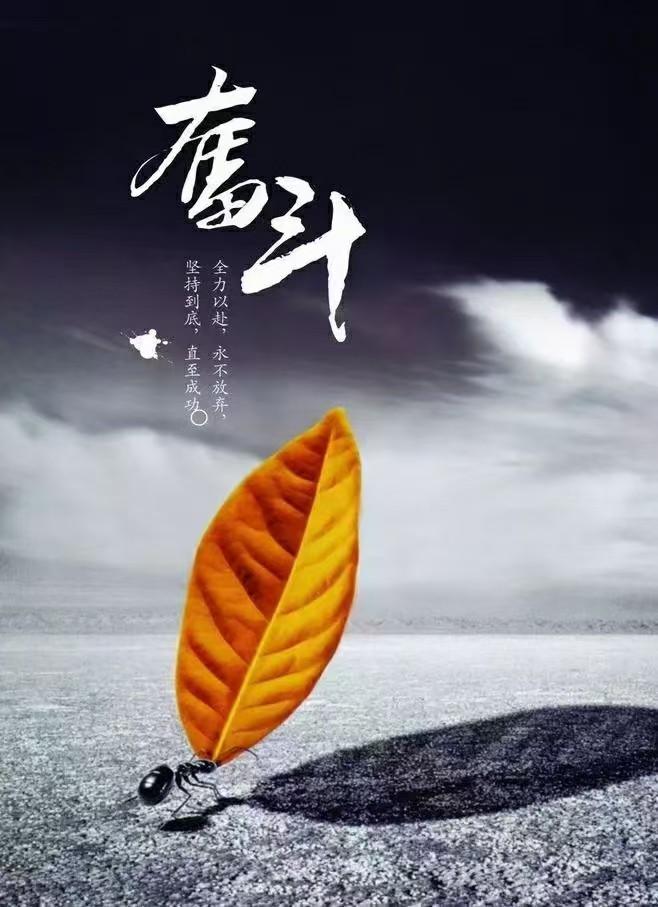 【今日总结】每天坐在屏幕前，一眨眼的功夫，就已经临近午夜，时间是真的快，盘中时间