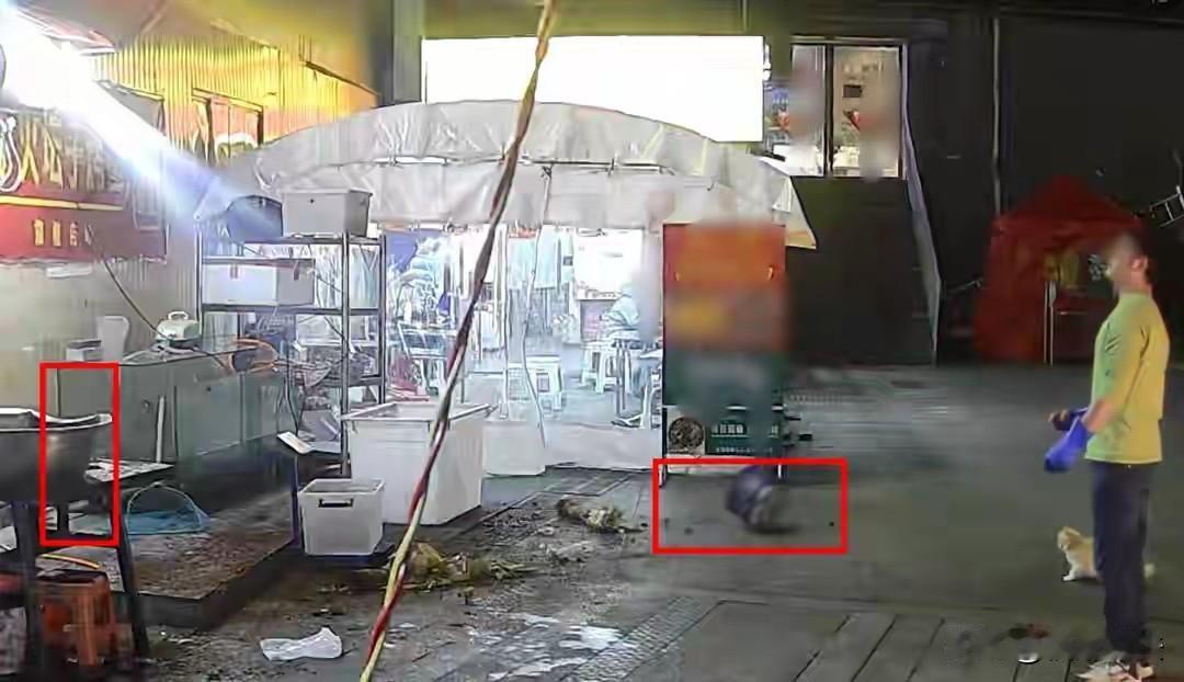 “善有善报！”贵州贵阳，男子在店门口收拾鱼，刚取出鱼内脏，看到一流浪猫找食，他拿