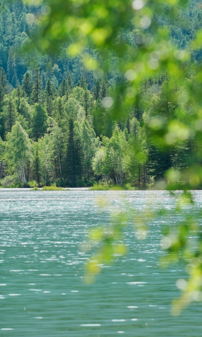 夏日新疆回忆录🎞️ 