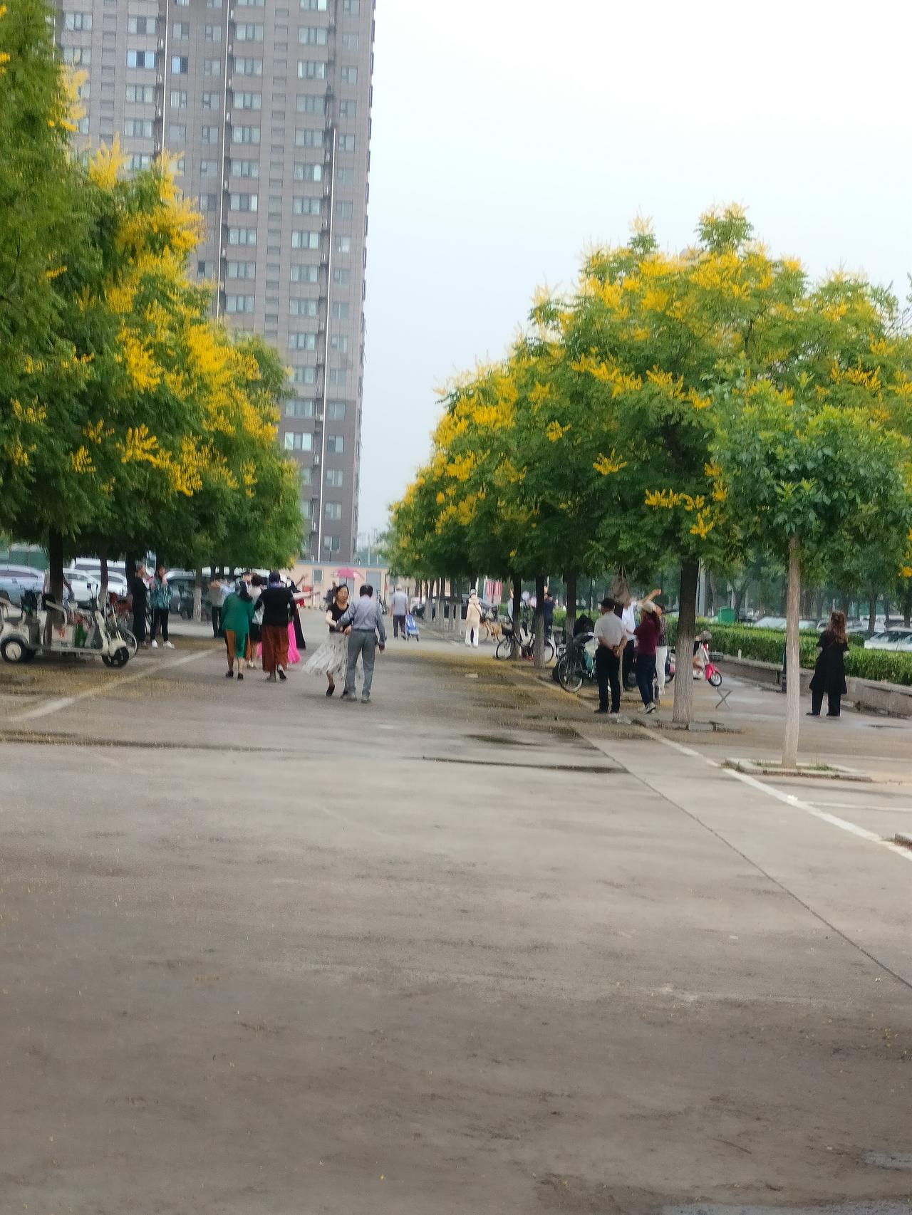 儿女越优秀，老人越孤独，是真的吗因为儿女越优秀，老人越省心，日子过的就越幸福。