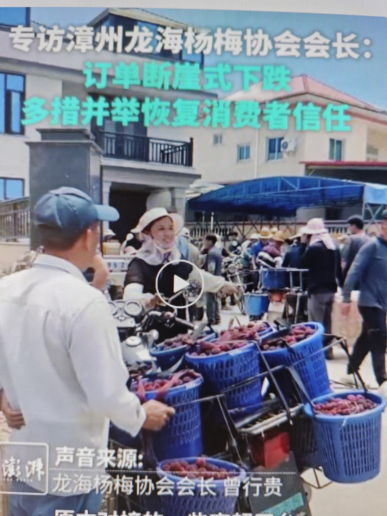 理解杨梅种植户的愤怒

刚看到《新京报》的报道，说是福建漳州杨梅种植户非常愤怒，