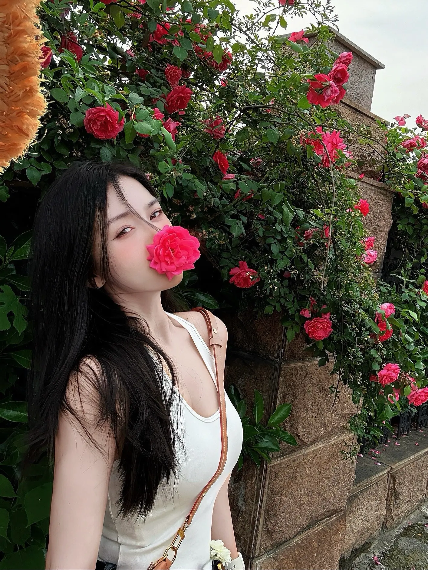 纵使世界偶尔凉薄，内心也要繁花似锦🌹