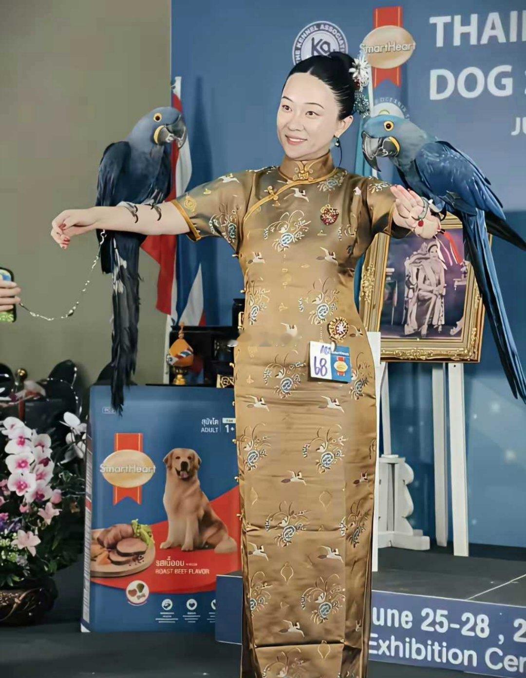 霍思燕家连鸟都这么争气？！前段时间刚看到霍思燕带着狗狗比赛还获奖了，现在又带着鸟