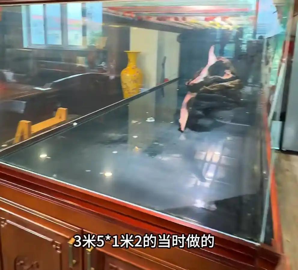 太惨了！江苏无锡，一男子家的大型鱼缸在装满整整4吨水后，毫无征兆地突然爆裂，家里