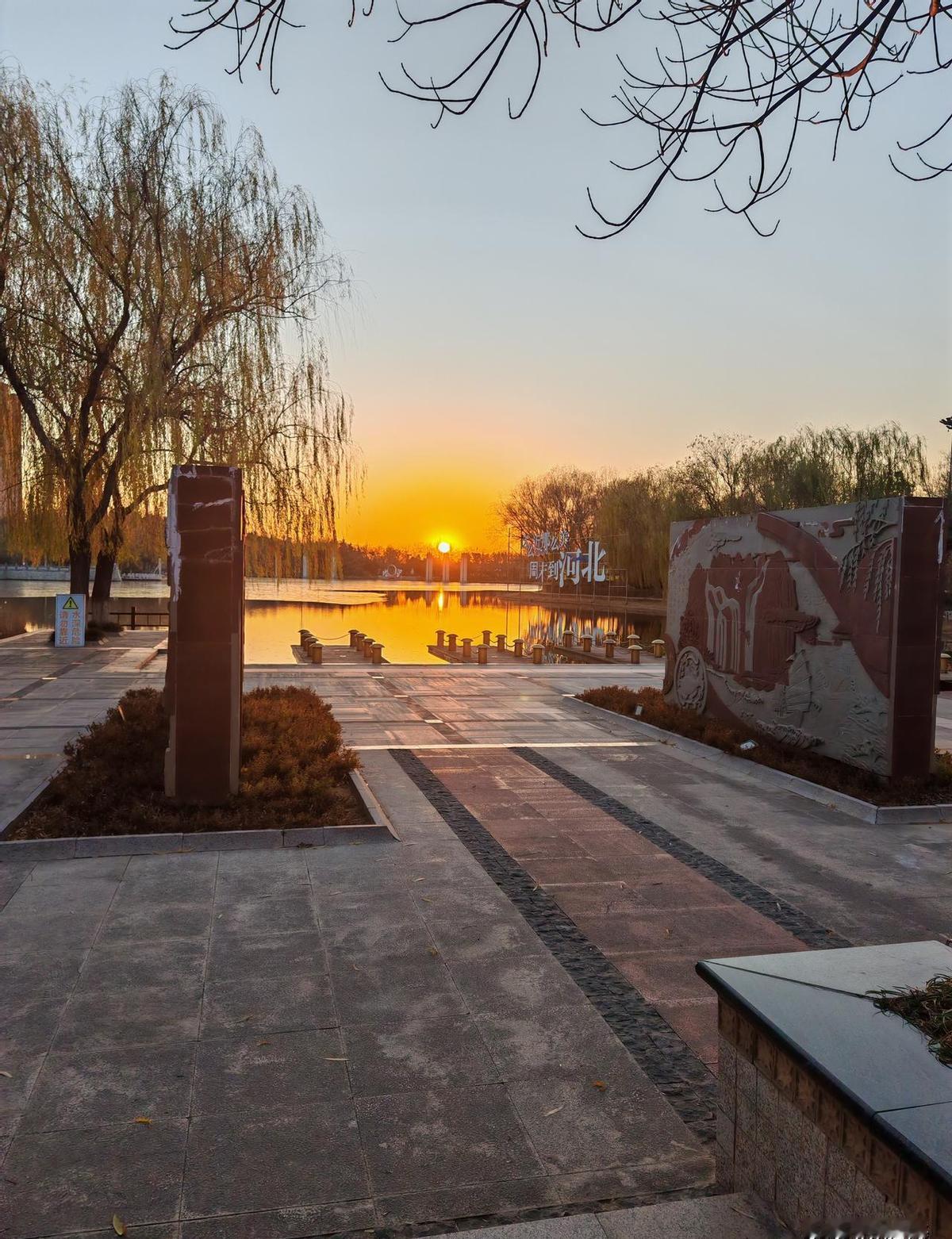 冯唐这次真的敢说，直接把职场遮羞布给扯下来了：35岁以后别谈感情，工作就是一场冷