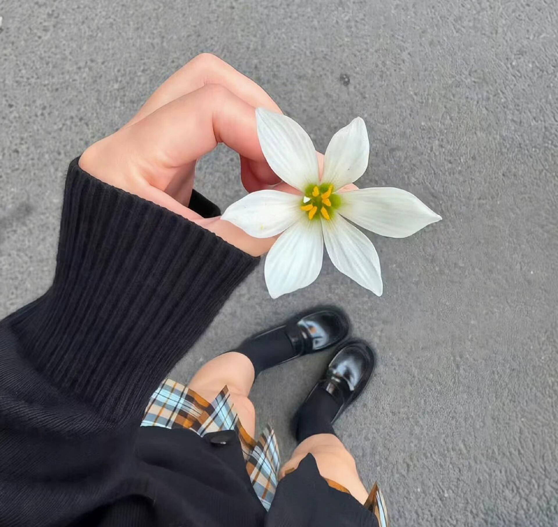 小众氛围感𝘞𝘦𝘊𝘩𝘢𝘵背景图.ᐟ‪.ᐟ 盛夏壁纸大放送动漫仲夏狂欢季