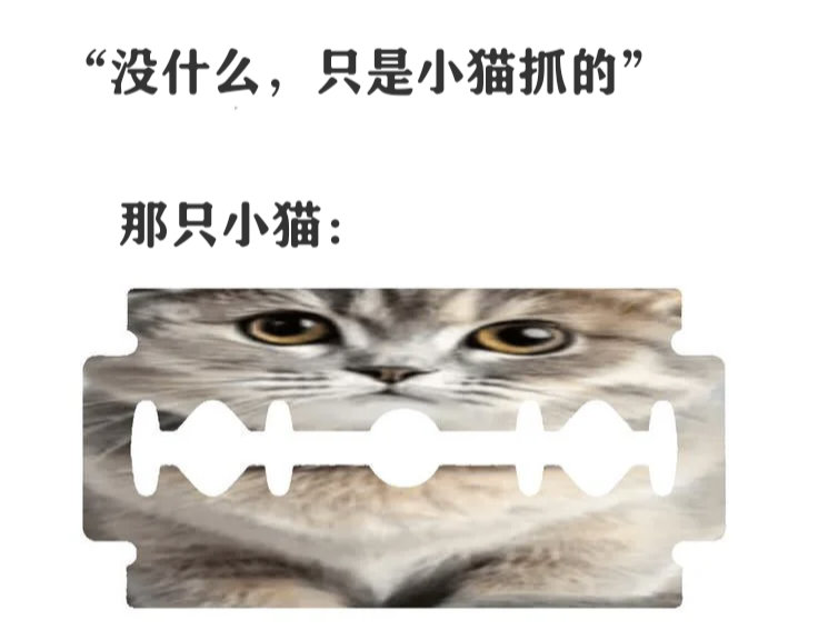 冤。meme