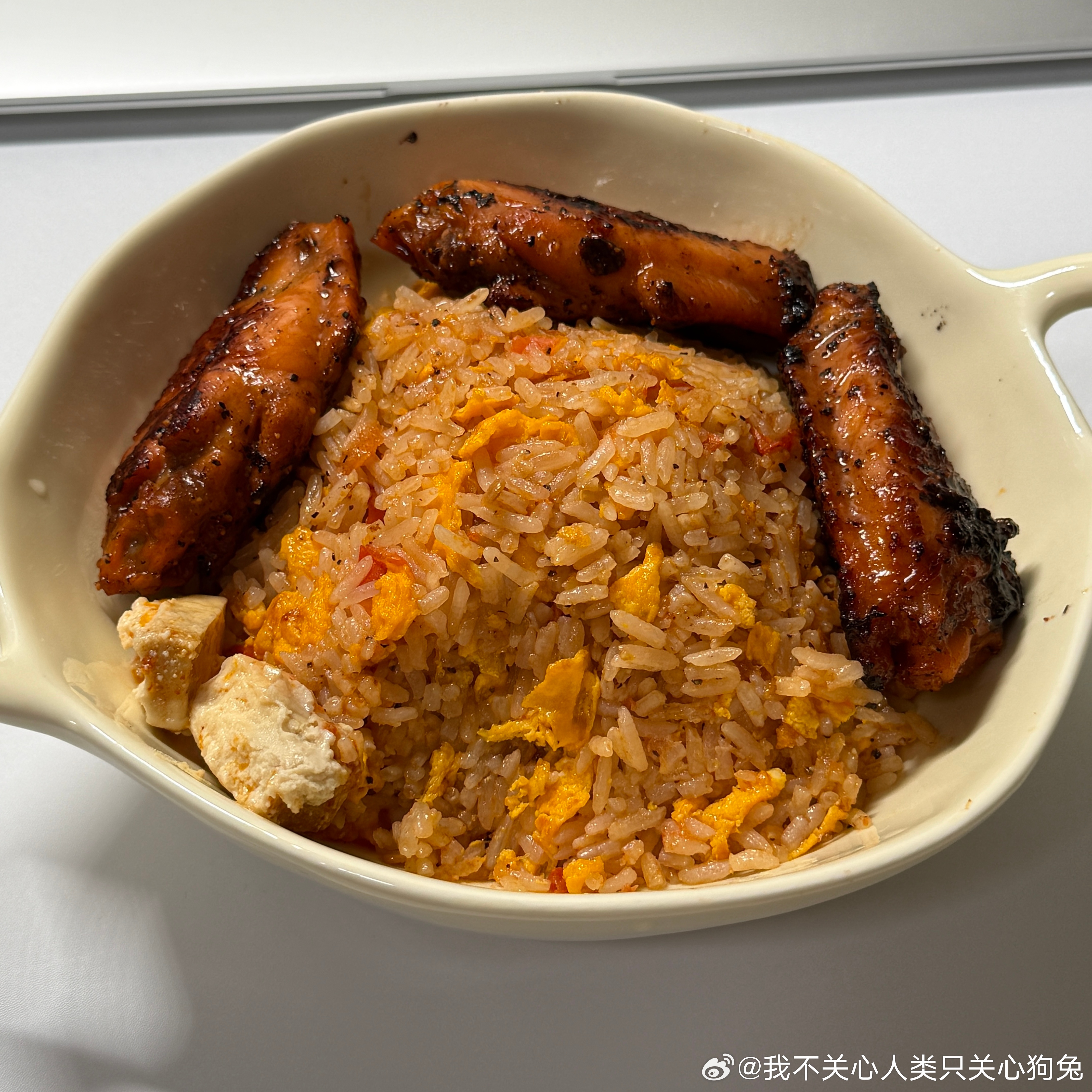 西红柿鸡蛋炒饭+鸡翅（画了番茄然后吃番茄对..） ​​​