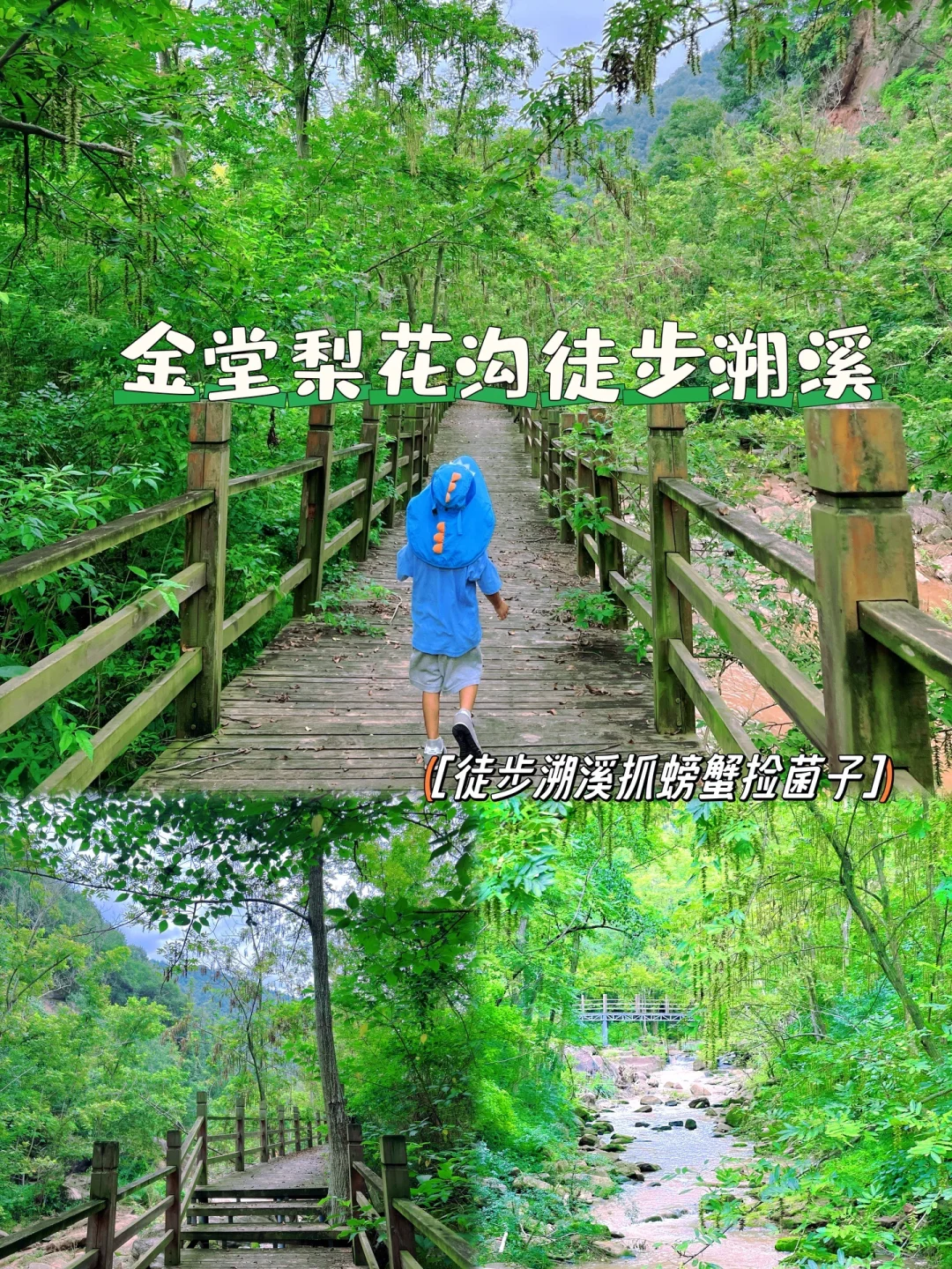 成都徒步溯溪抓螃蟹采蘑菇‼️ 栖贤梨花沟
