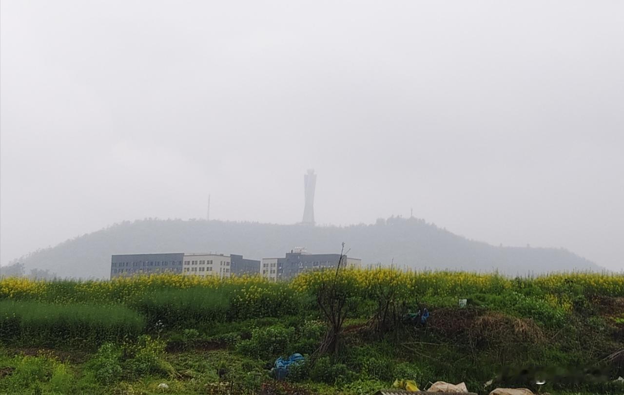 经过3天有序的交接，江夏项目顺利移交给物业了。
这个历时14个月，却造价不到百万