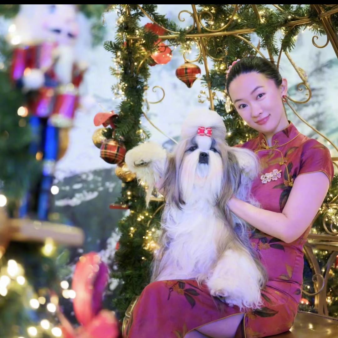 现在最佩服的就是霍思燕了

自家狗狗夺冠后刚到手的15万欧元还没有捂热乎，就转手