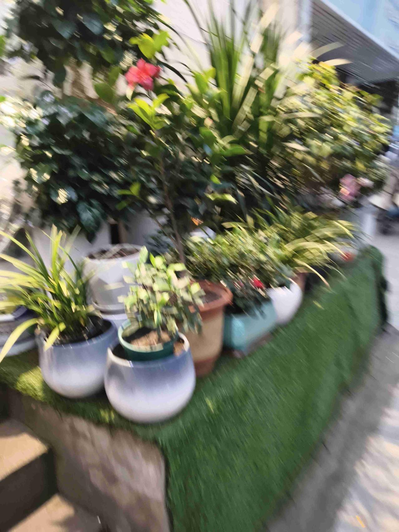 我的今日状态：😁轻松愉快
我这里的天气：☀️晴天