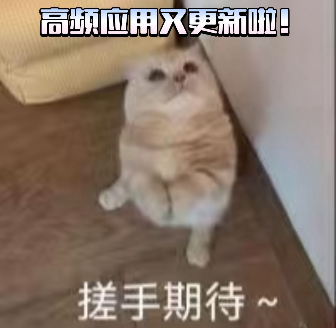 BB们！高频应用又开启新一轮更新狂潮啦！QQ和微信在这次更新中更是很给力，不仅Q