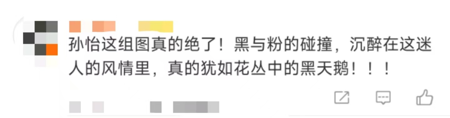 孙怡花丛中的黑天鹅   孙怡星光大赏造型绝美，犹如花丛中的黑天鹅！！！修身的黑色