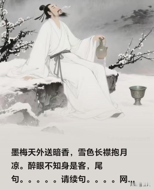 《暗香客梦》题注
 
寒夜雪落，梅香暗度天外；长襟拥月，醉里忘却客身。此夜无扰，