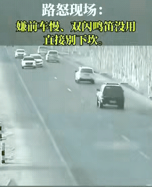 这有点厉害了哦