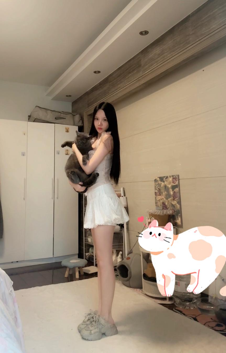 发一张你家猫的可爱照上来吧