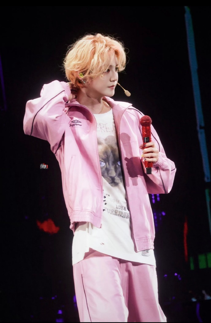 1.《妻子的浪漫旅行8》目前的阵容是秦昊伊能静、李纯马頔、孙杨张豆豆以及金莎孙丞