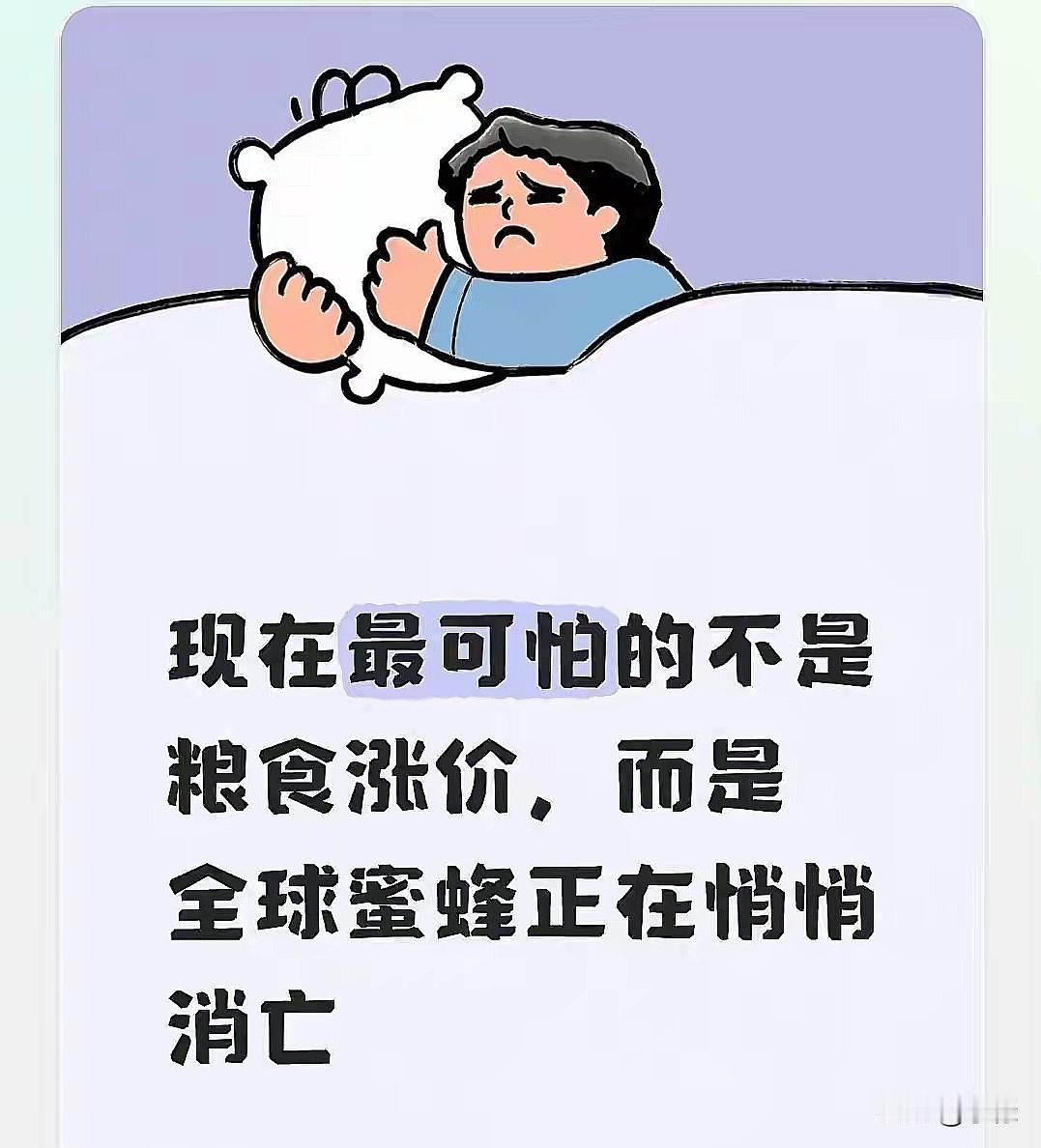 2026年8月，广东阳江乡下养蜂的老周，翻着今年的账本红了眼——大半箱蜂说没就没