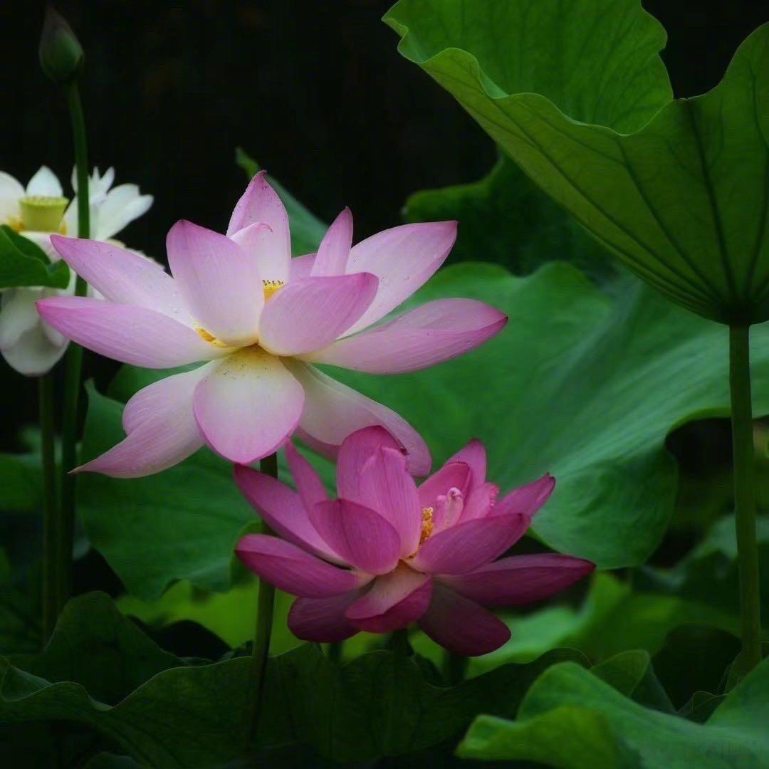 最早给别人打封闭，应该是在21年前。那时候，准丈人腿痛腰痛一周，无法行走，在船上