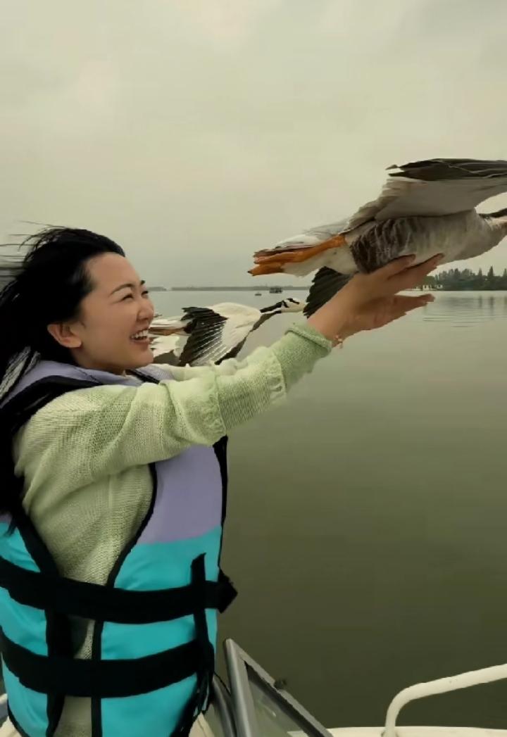 家人们速看！武汉一女子驾船看风景，一群大雁跟在船边不肯走，女子好奇地伸出手试探，