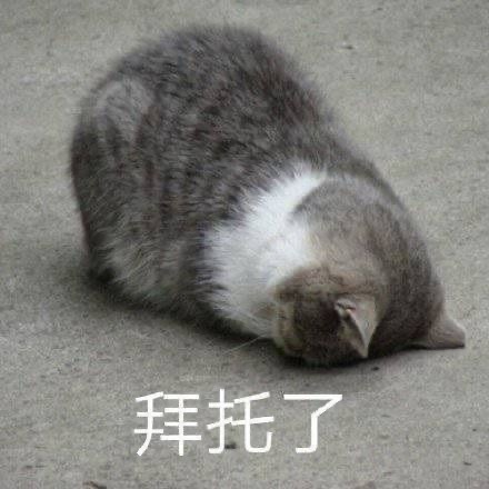 26岁确诊胃癌前身体发出的信号各位姐妹不要节食减肥啊，一是胃部疾病，二是低血糖，