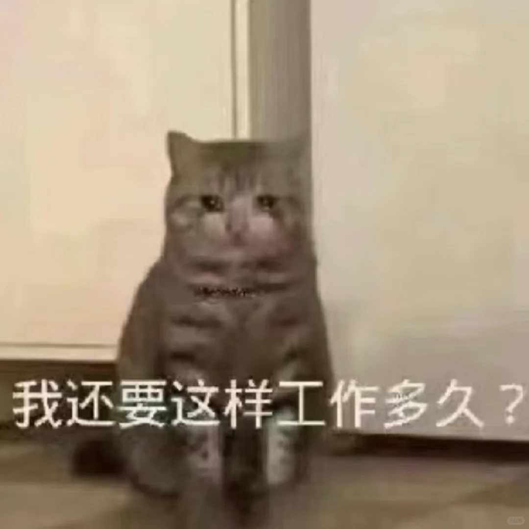 以后我再也不会带师弟师妹以及任何人