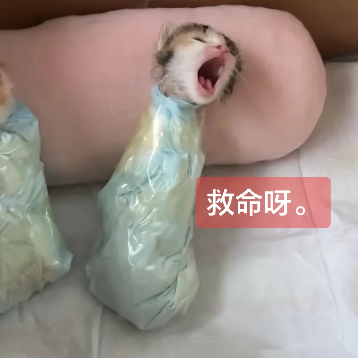 分享图片 