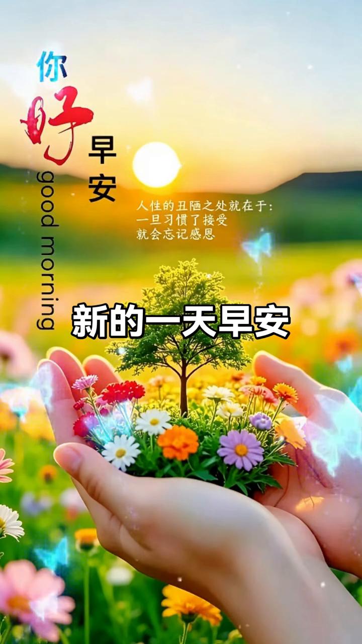 早安。
人性的丑陋之处就在于：一旦习惯了接受，就会忘记感恩。新的一天早安。
