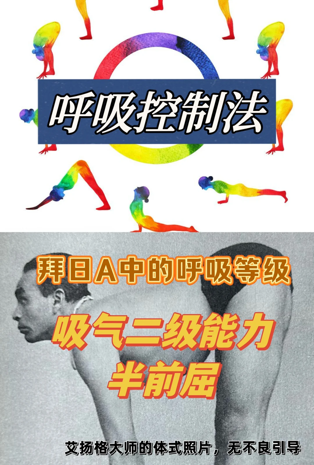 呼吸控制法之拜日A中的呼吸等级：半前屈