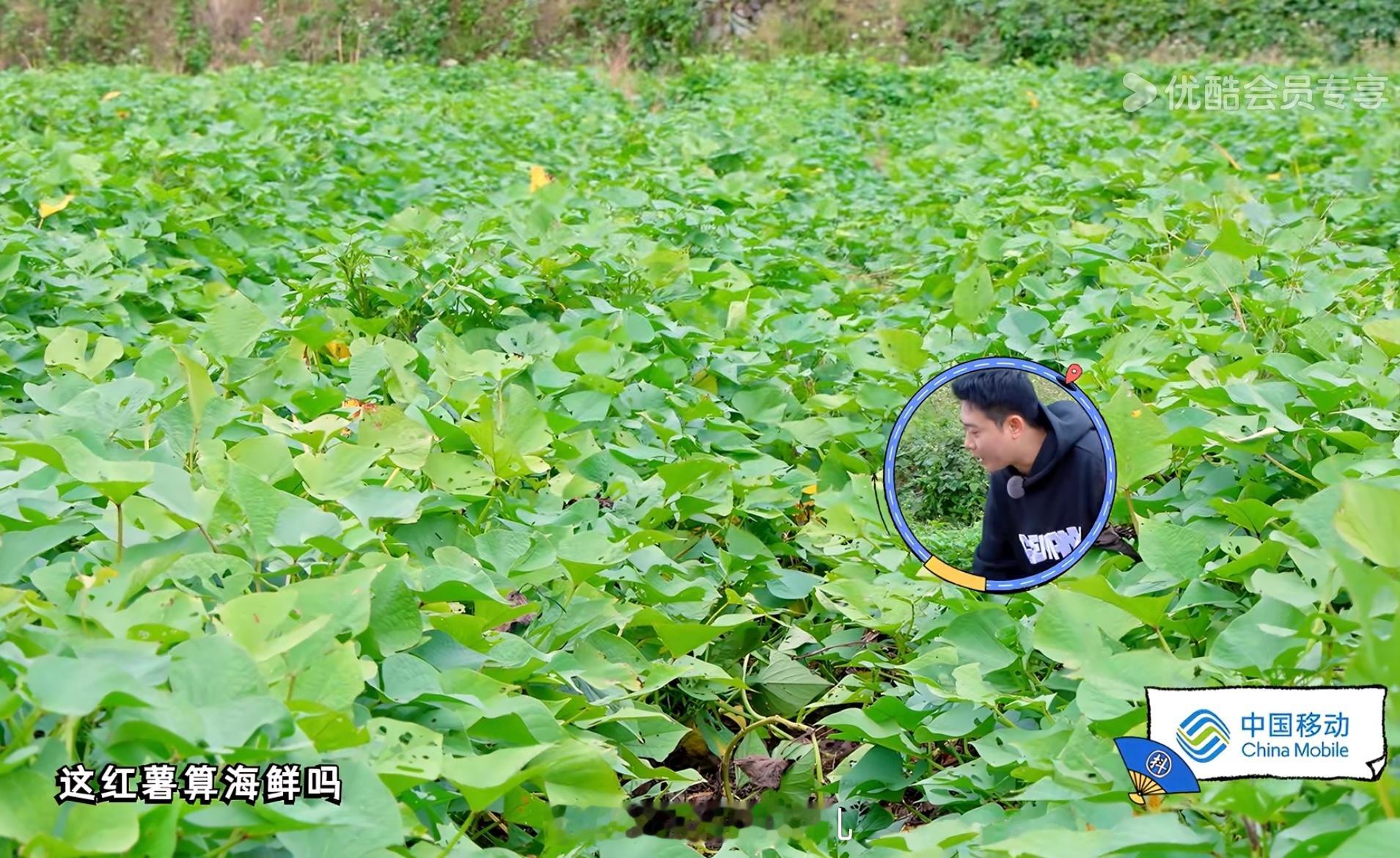 是爱青岛不知道算不算海鲜的海带啊[doge]还是爱青岛的白油漆[doge] 