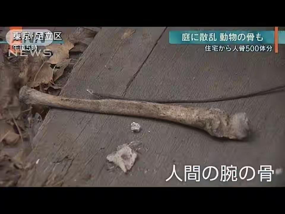 一栋日本的普通民宅里，堆着几百具来自印度的人骨。这事听起来像恐怖小说的开头，但它