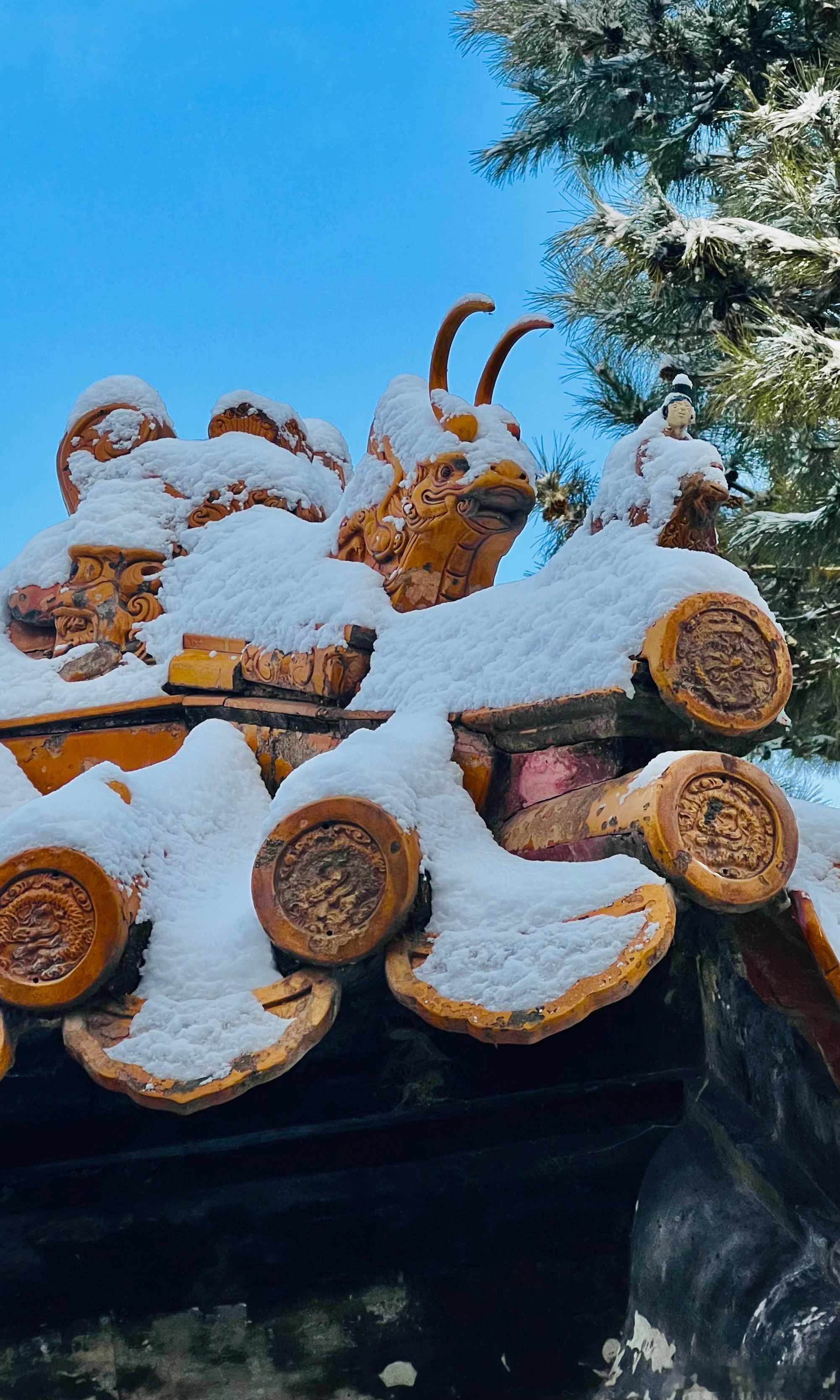 雪后的颐和园 佛香阁摄影