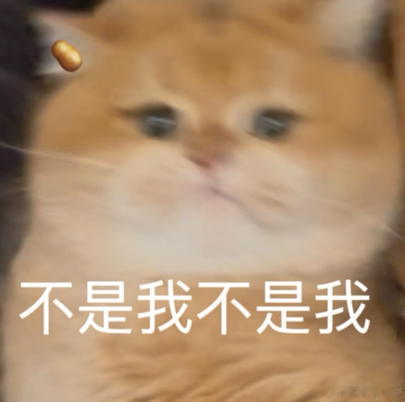 有微信之前人是可以不用一直在线的这么看来 QQ 时代真自在啊头像灰着就是"离线"
