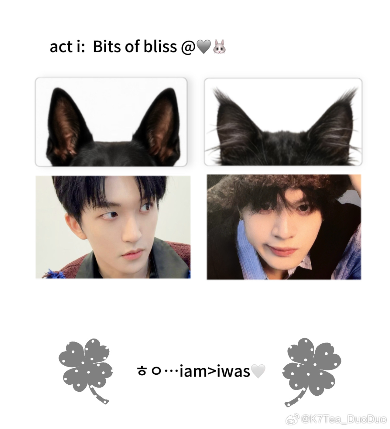 弘叶题石  全世界最萌的猫猫狗狗请出列！🐾🐾🐾🐾（有模版参考 