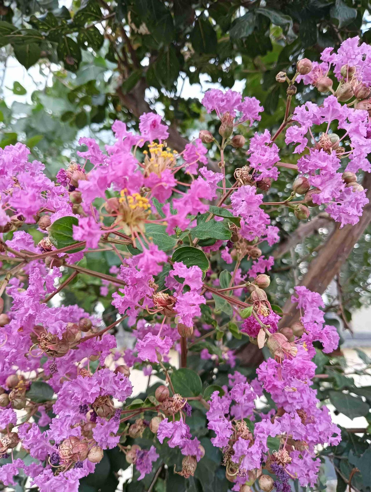 我的今日状态：😁轻松愉快
我这里的天气：🌤️多云