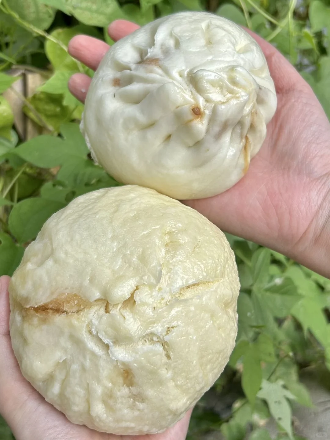 这么大的大肉包 就说City不City吧？！