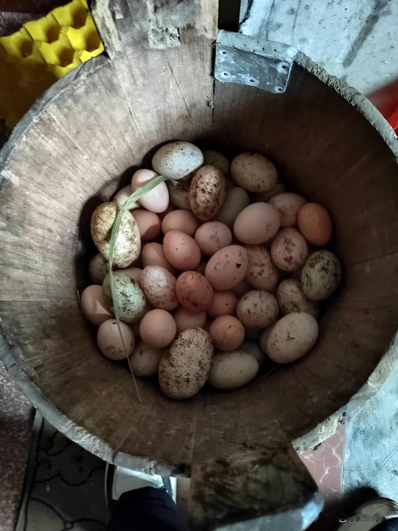 农村土鸡蛋，天然散养，蛋黄饱满、蛋香浓郁，无论怎么做都好吃。清水一煮，蛋白紧实、